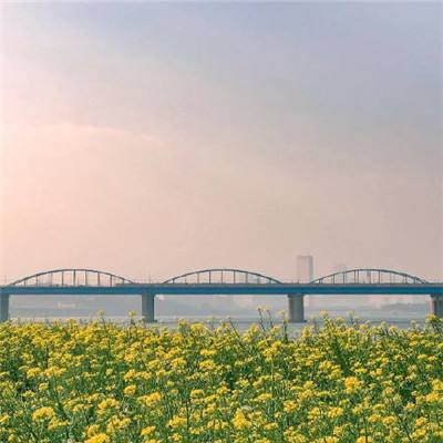 四川重点交通项目全面复工复产  上半年高速公路通车总里程将超1万公里